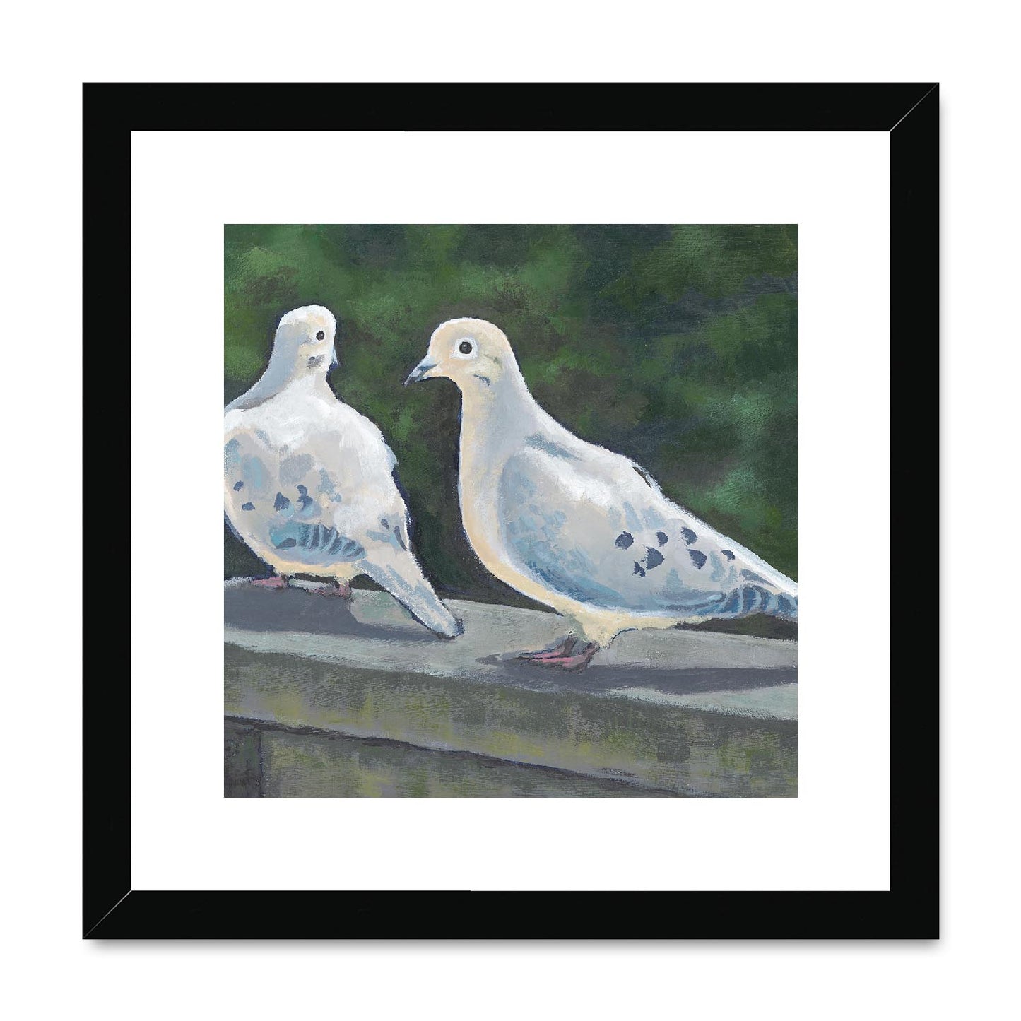 Framed Fine Art Print, White Mat,Mourning Doves in Acrylic, FPS-1000-1125, 12"x12", Black Frame