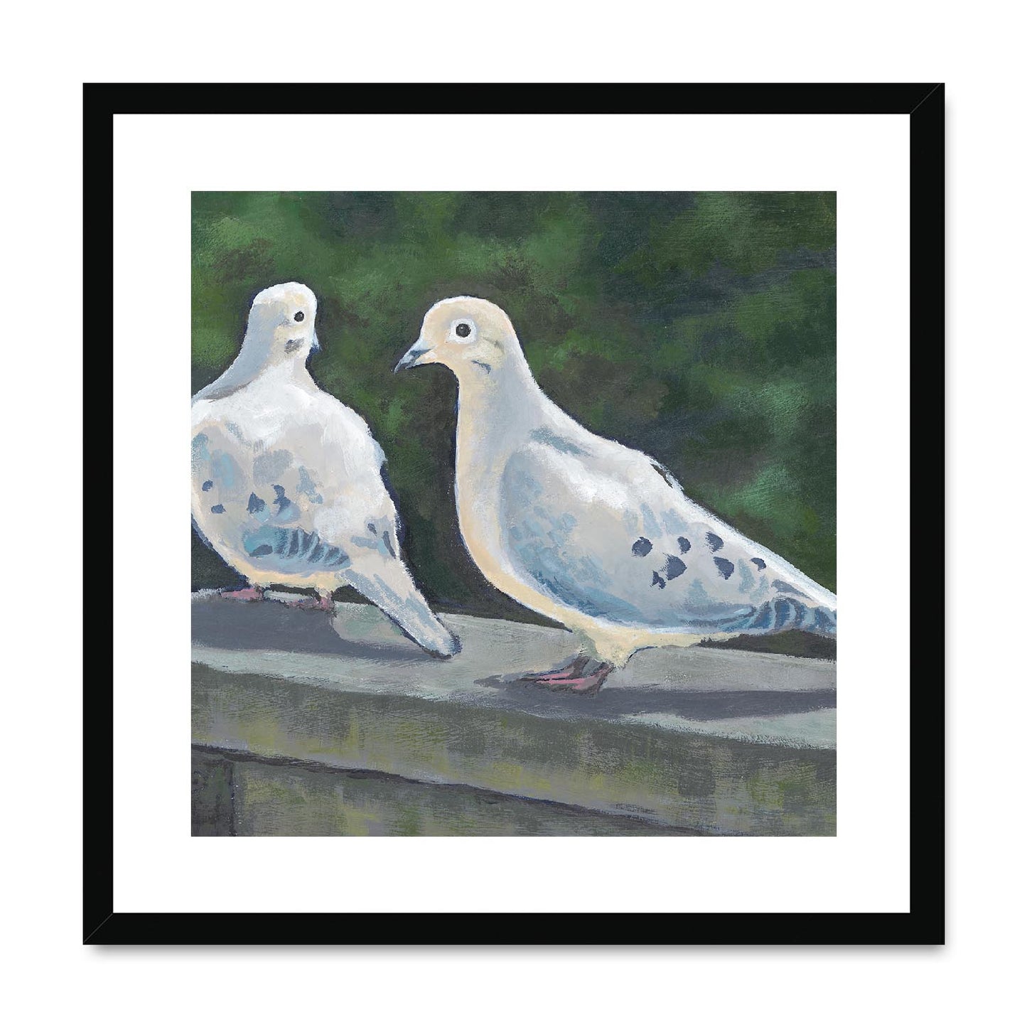 Framed Fine Art Print, White Mat,Mourning Doves in Acrylic, FPS-1000-1125, 20"x20", Black Frame