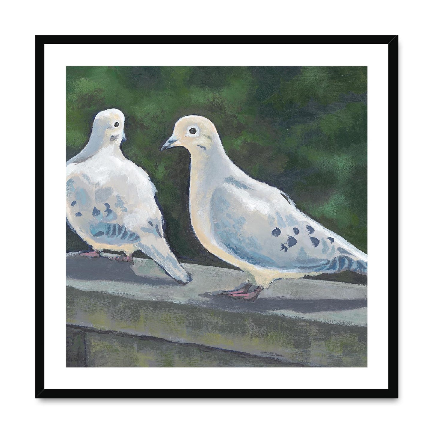 Framed Fine Art Print, White Mat,Mourning Doves in Acrylic, FPS-1000-1125, 28"x28", Black Frame