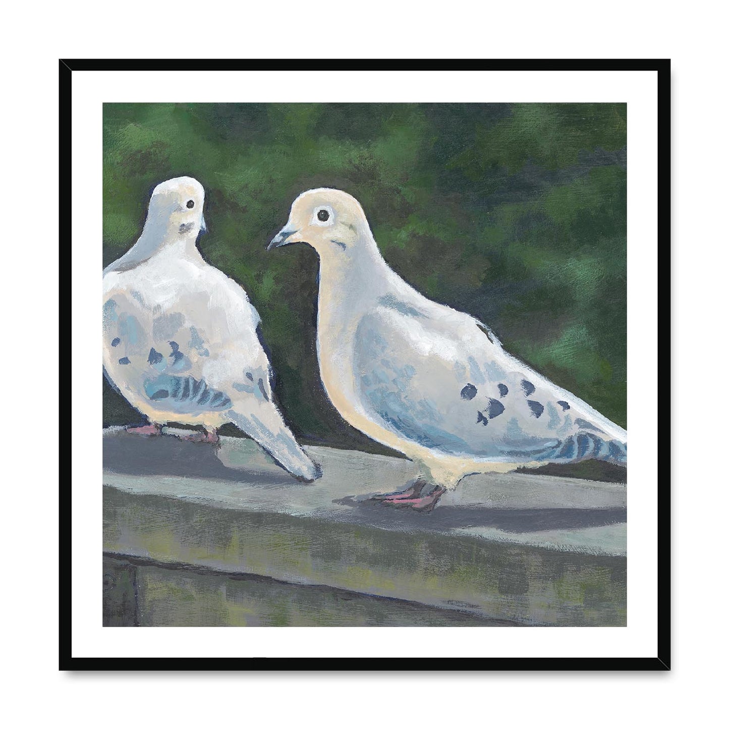 Framed Fine Art Print, White Mat,Mourning Doves in Acrylic, FPS-1000-1125, 36"x36", Black Frame