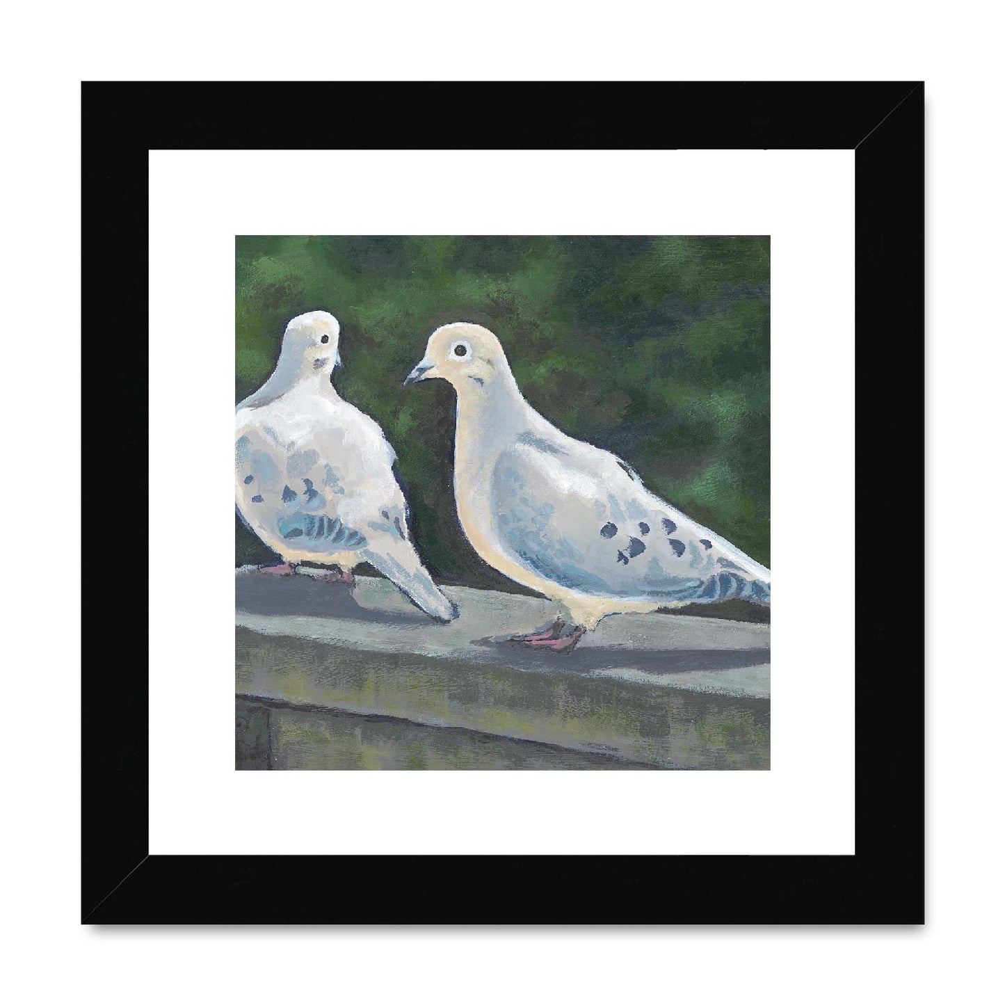Framed Fine Art Print, White Mat,Mourning Doves in Acrylic, FPS-1000-1125, 8"x8", Black Frame