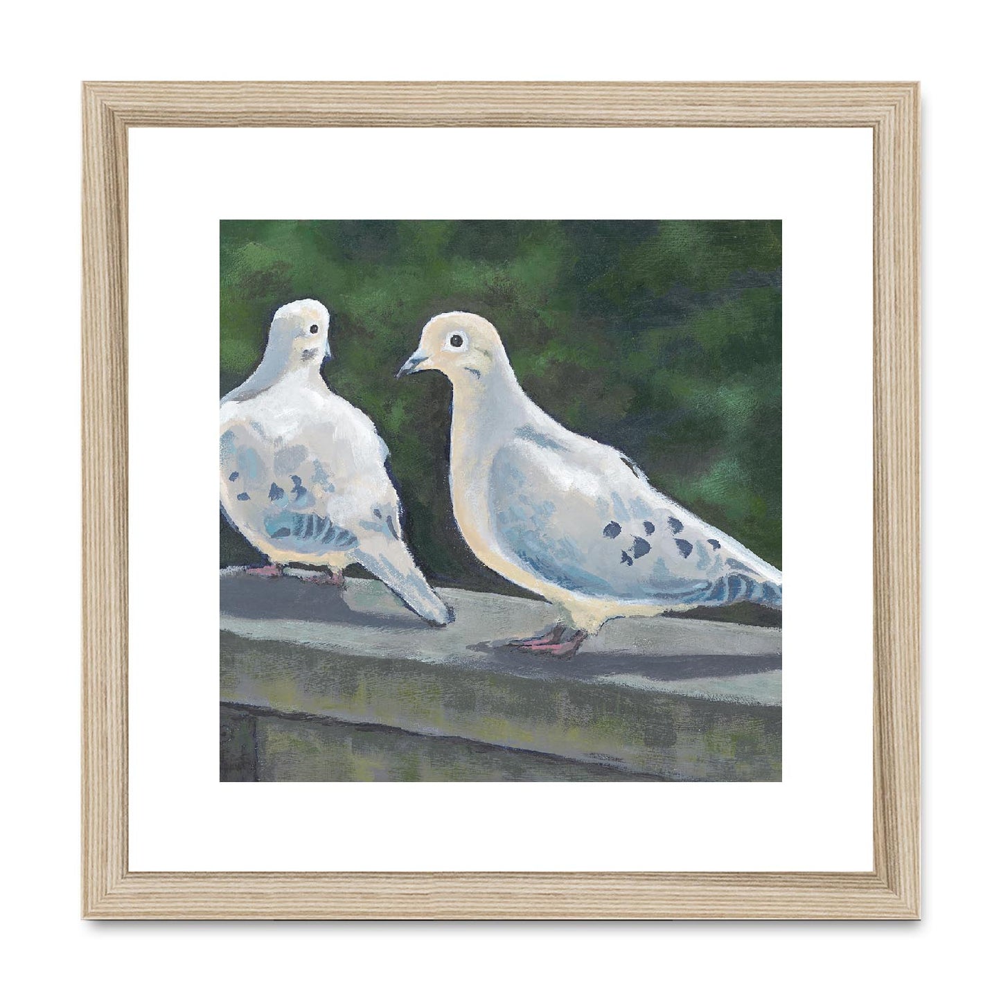 Framed Fine Art Print, White Mat,Mourning Doves in Acrylic, FPS-1000-1125, 12"x12", Natural Frame