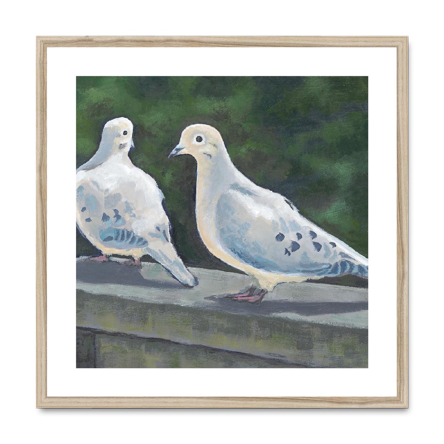 Framed Fine Art Print, White Mat,Mourning Doves in Acrylic, FPS-1000-1125, 24"x24", Natural Frame