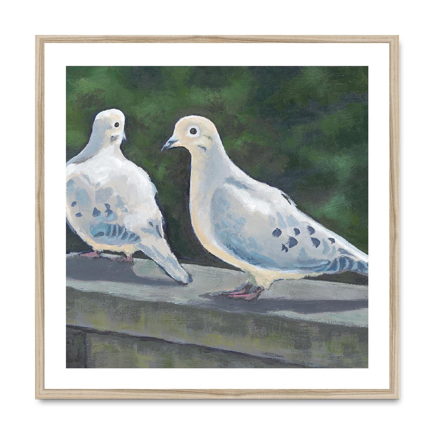 Framed Fine Art Print, White Mat,Mourning Doves in Acrylic, FPS-1000-1125, 28"x28", Natural Frame