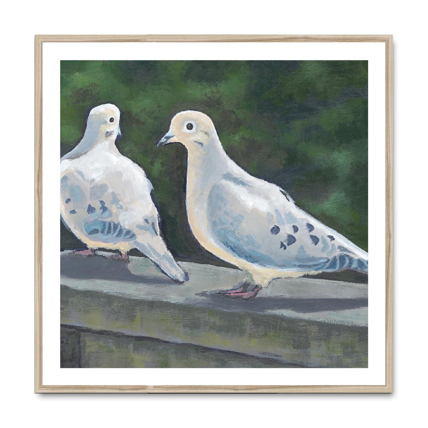 Framed Fine Art Print, White Mat,Mourning Doves in Acrylic, FPS-1000-1125, 36"x36", Natural Frame