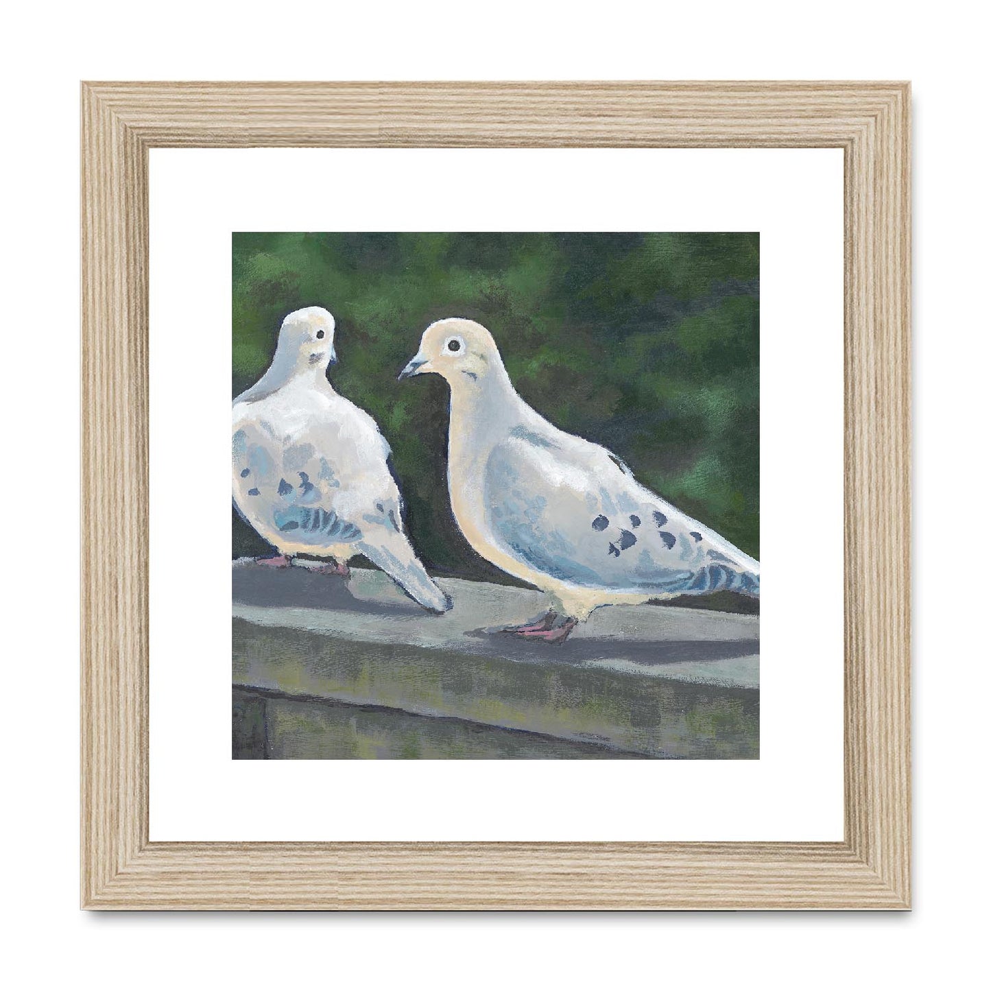 Framed Fine Art Print, White Mat,Mourning Doves in Acrylic, FPS-1000-1125, 8"x8", Natural Frame