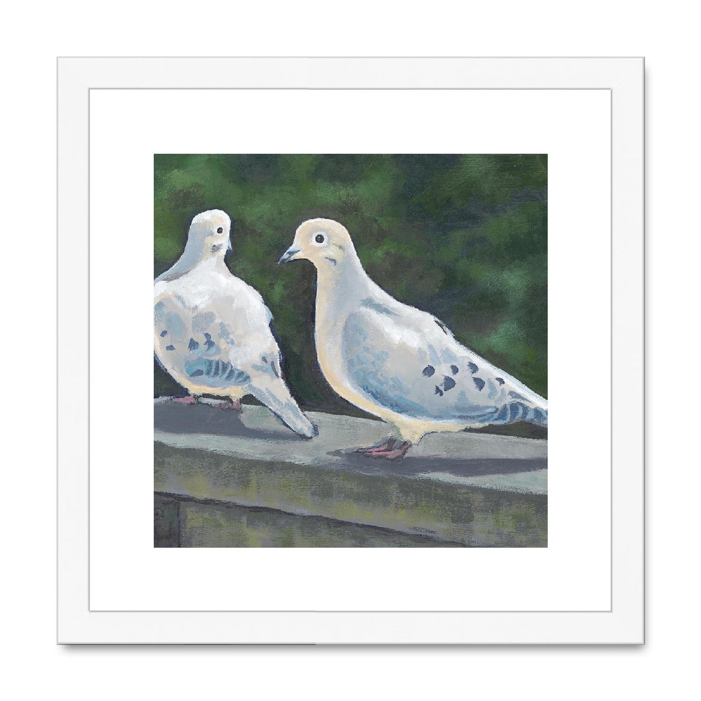 Framed Fine Art Print, White Mat,Mourning Doves in Acrylic, FPS-1000-1125, 12"x12", White Frame