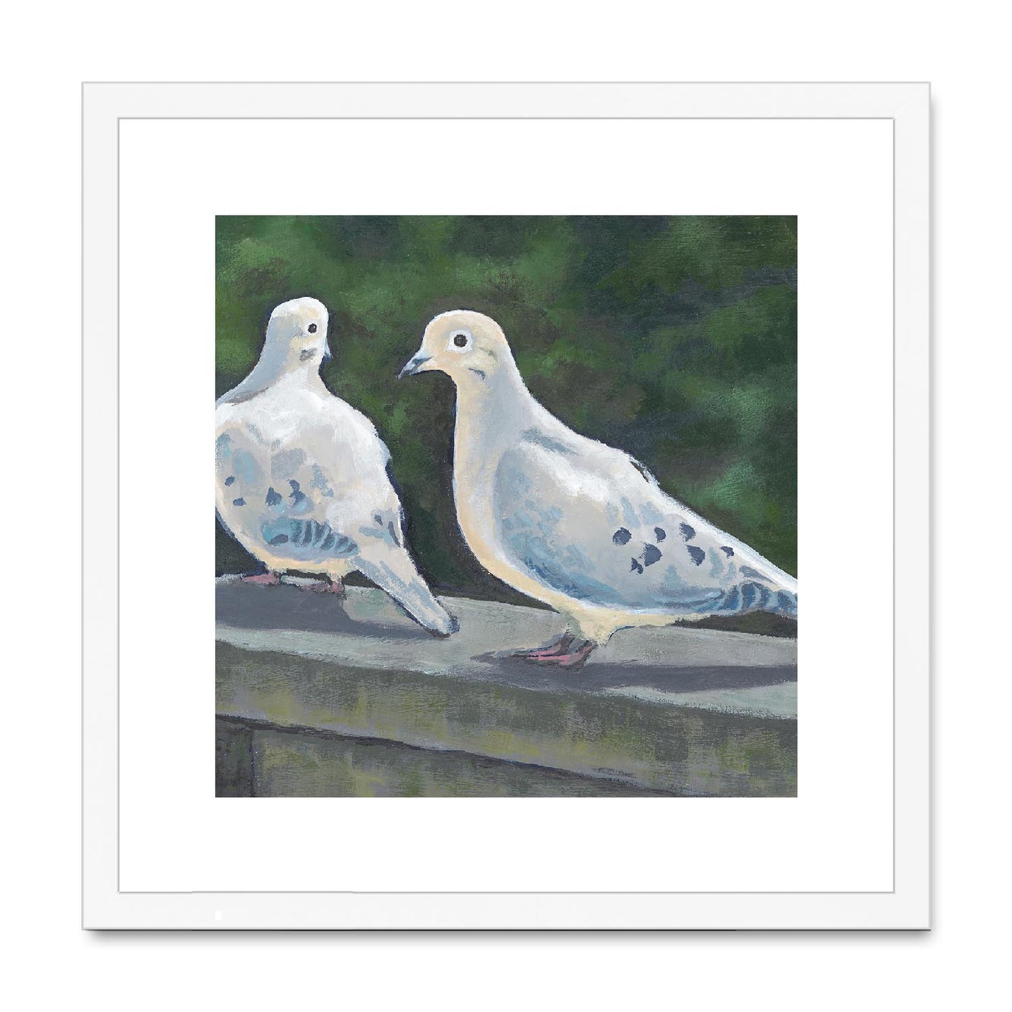Framed Fine Art Print, White Mat,Mourning Doves in Acrylic, FPS-1000-1125, 16"x16", White Frame