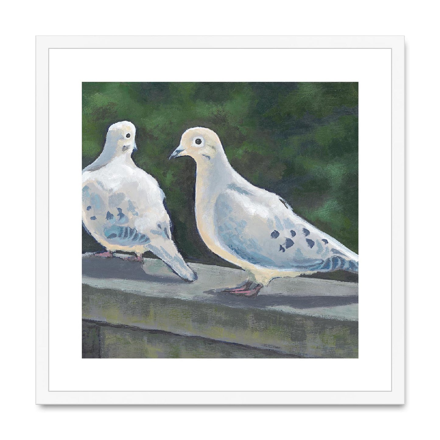 Framed Fine Art Print, White Mat,Mourning Doves in Acrylic, FPS-1000-1125, 20"x20", White Frame