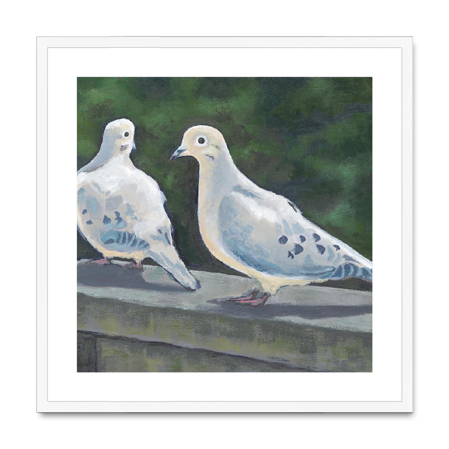 Framed Fine Art Print, White Mat,Mourning Doves in Acrylic, FPS-1000-1125, 24"x24", White Frame