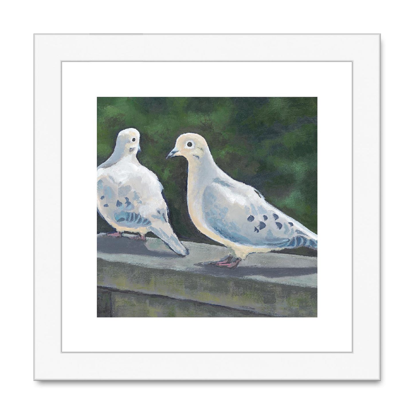 Framed Fine Art Print, White Mat,Mourning Doves in Acrylic, FPS-1000-1125, 8"x8", White Frame