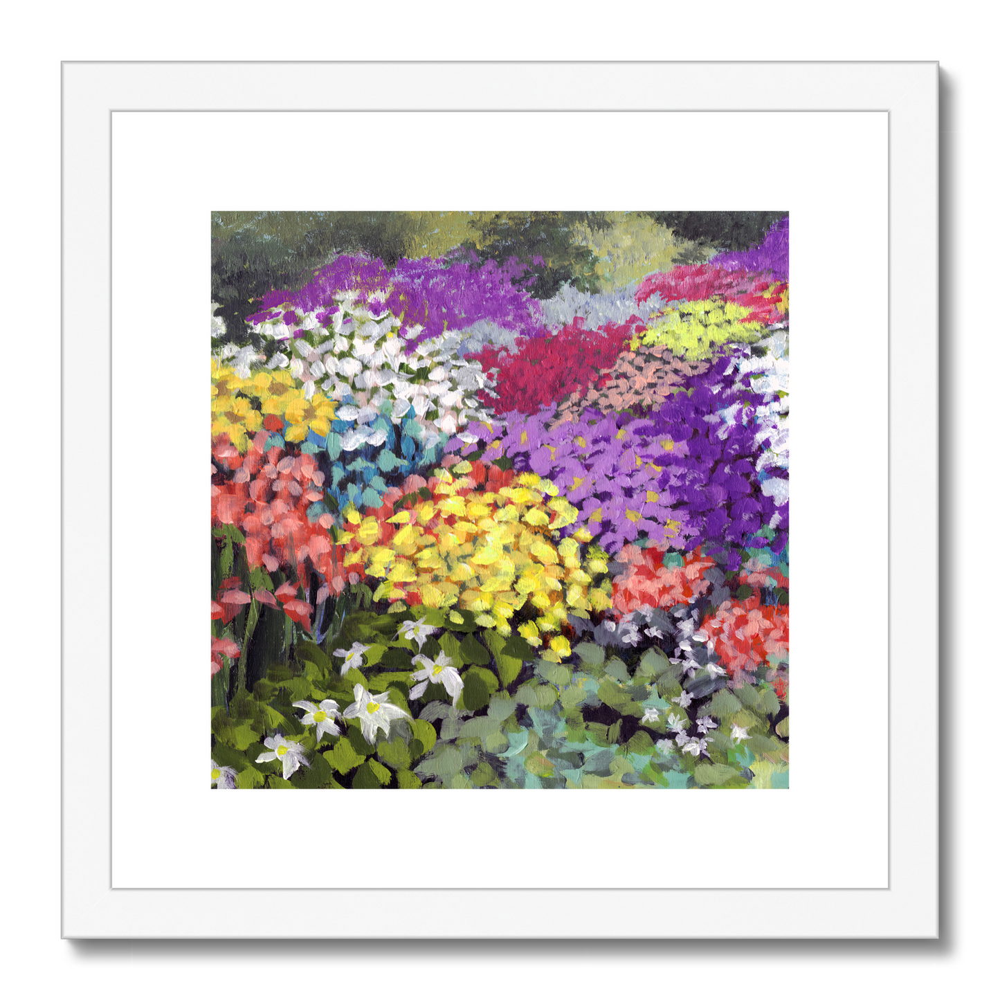 Framed Fine Art Print, White Mat,Floral Garden in Acrylic, FPS-1000-1147, 12"x12", White Frame