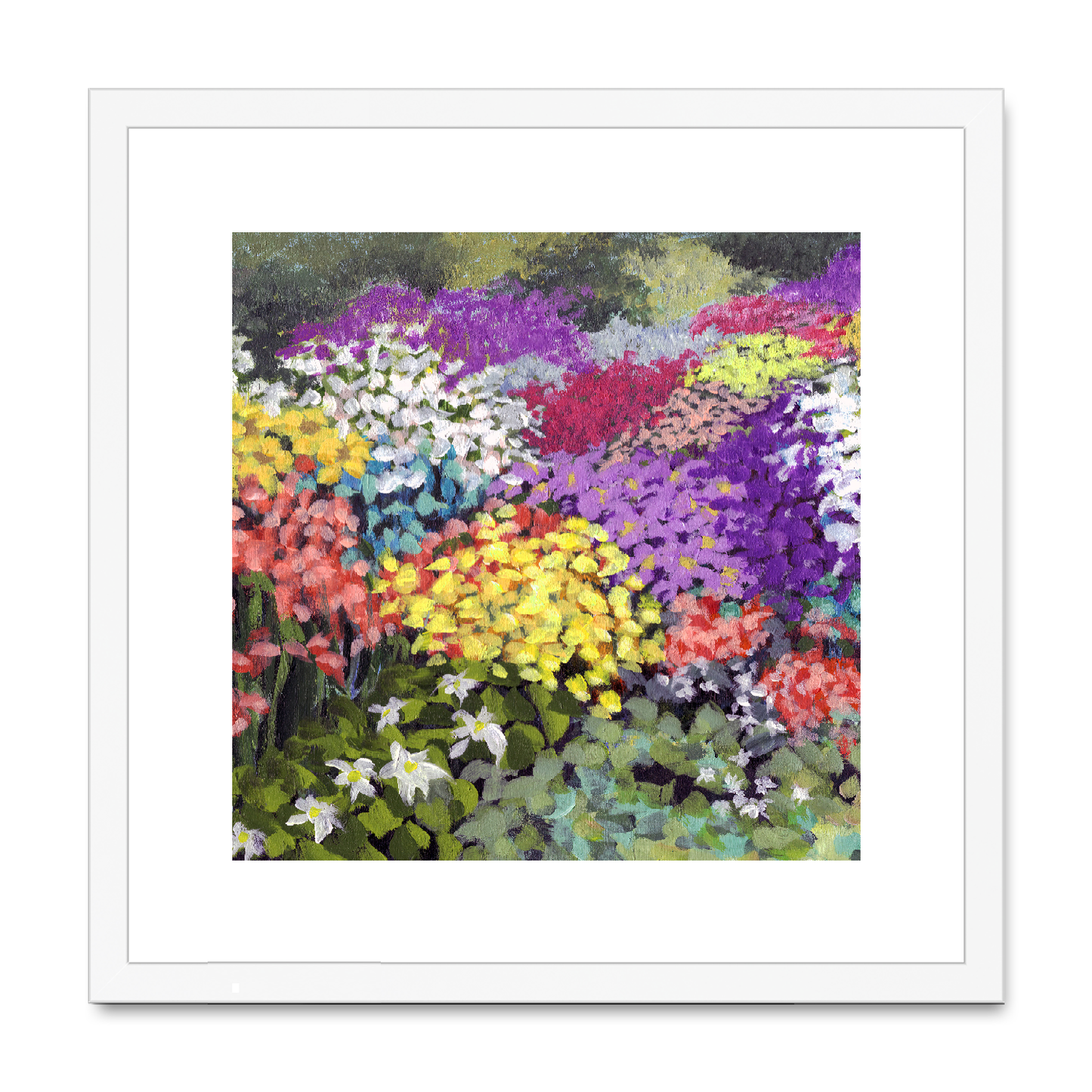 Framed Fine Art Print, White Mat,Floral Garden in Acrylic, FPS-1000-1147, 16"x16", White Frame