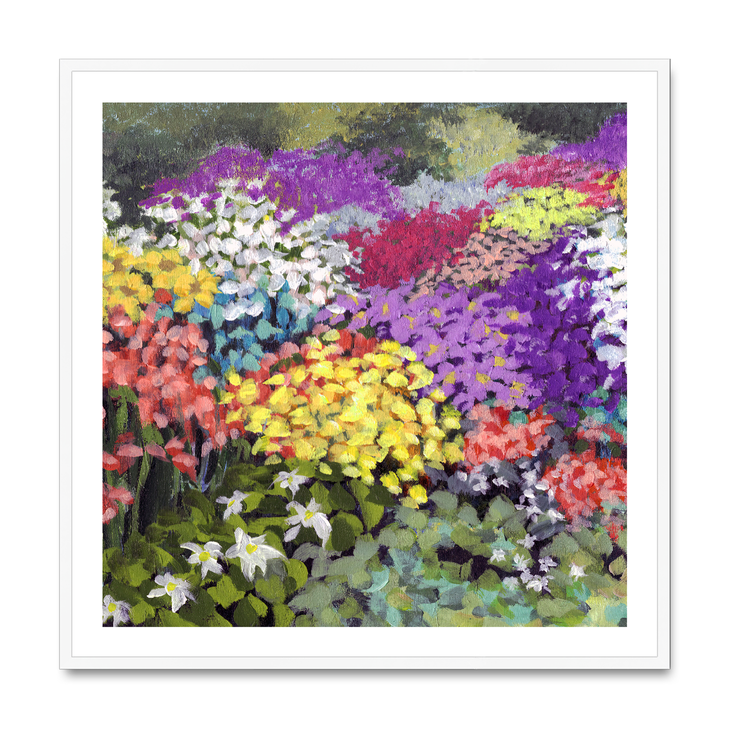 Framed Fine Art Print, White Mat,Floral Garden in Acrylic, FPS-1000-1147, 36"x36", White Frame