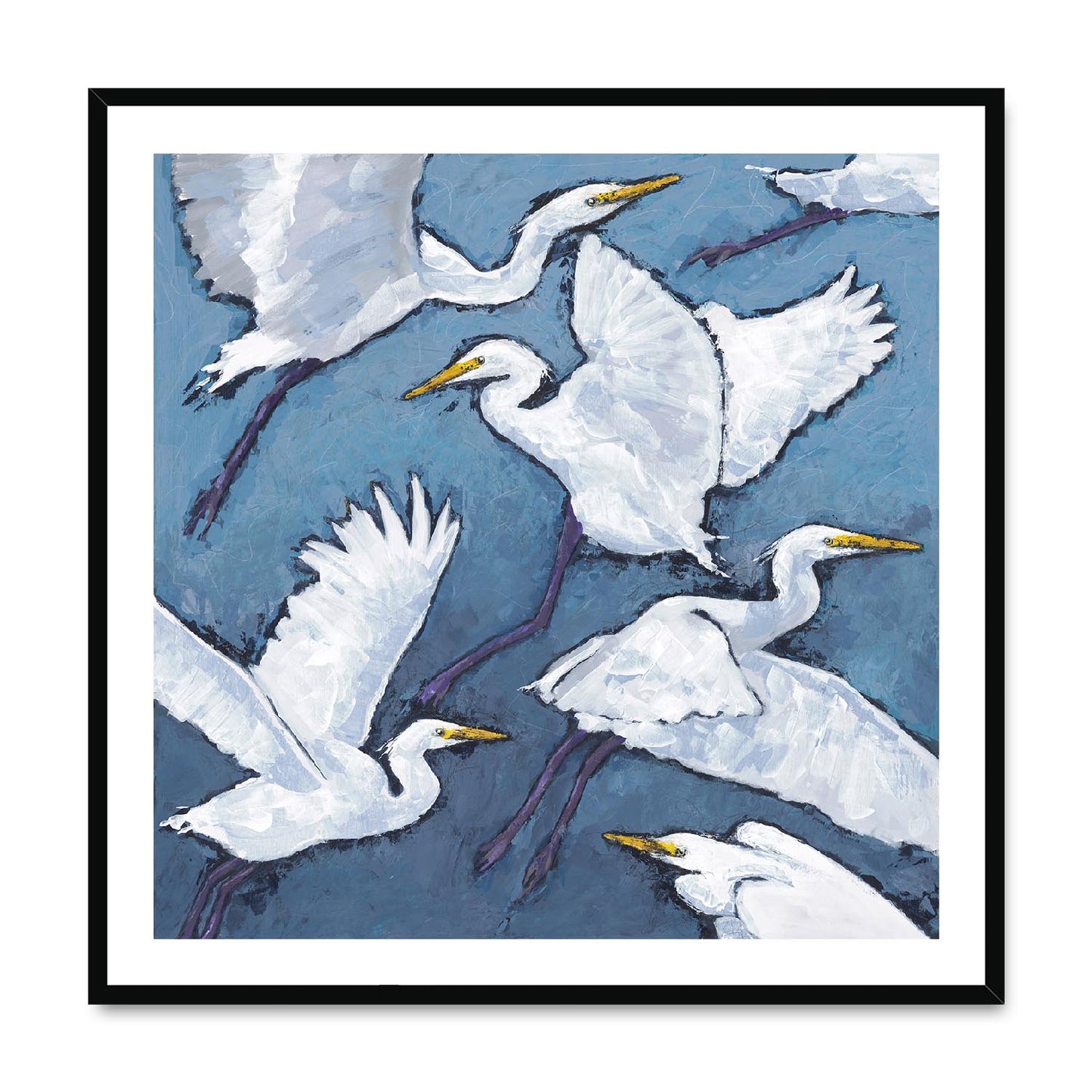 Framed Fine Art Print, White Mat,White Herons in Acrylic, FPS-1020-001, 36"x36", Black Frame