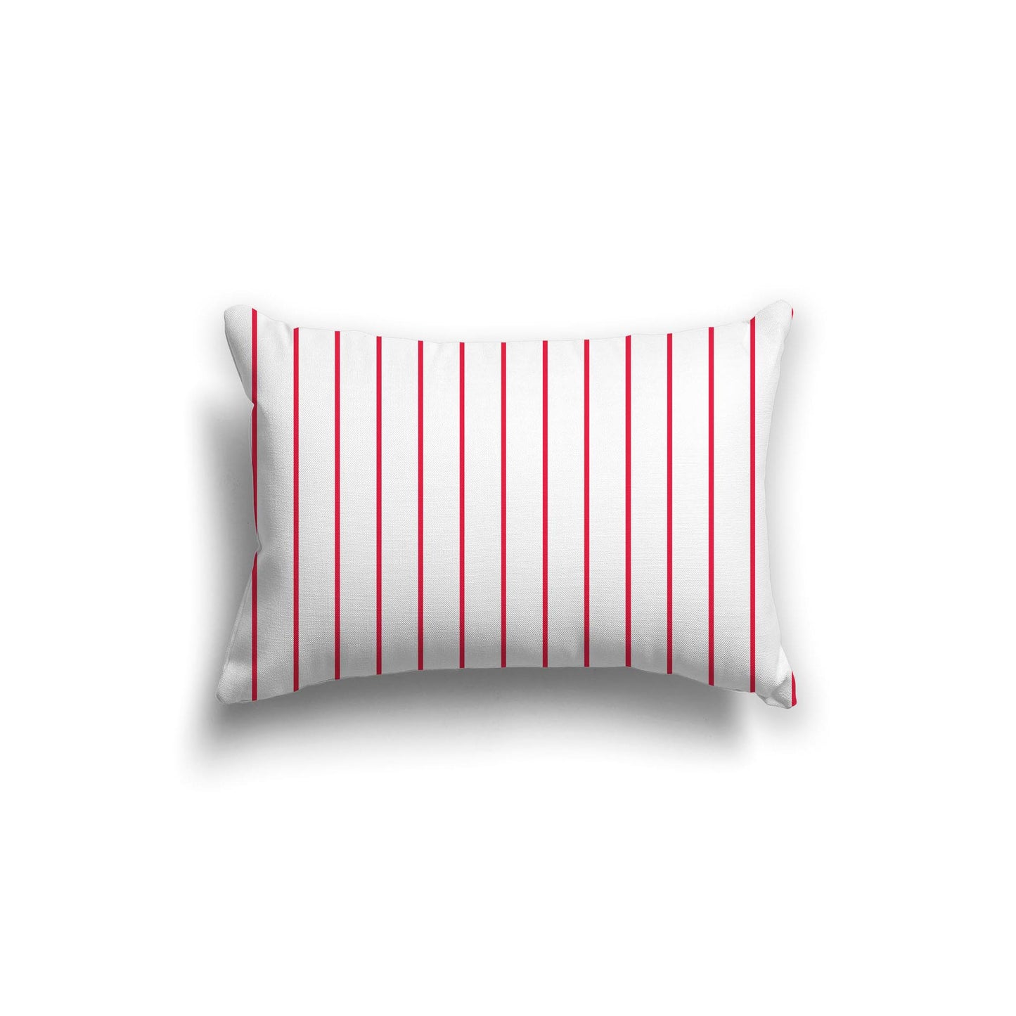 Off-White Cotton Canvas Cushion Covers with Fine Red Stripes on Front, CACU-1330-151