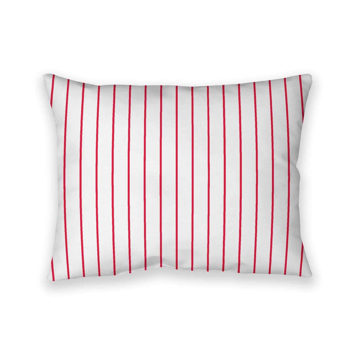 Off-White Cotton Canvas Cushion Covers with Fine Red Stripes on Front, CACU-1330-151