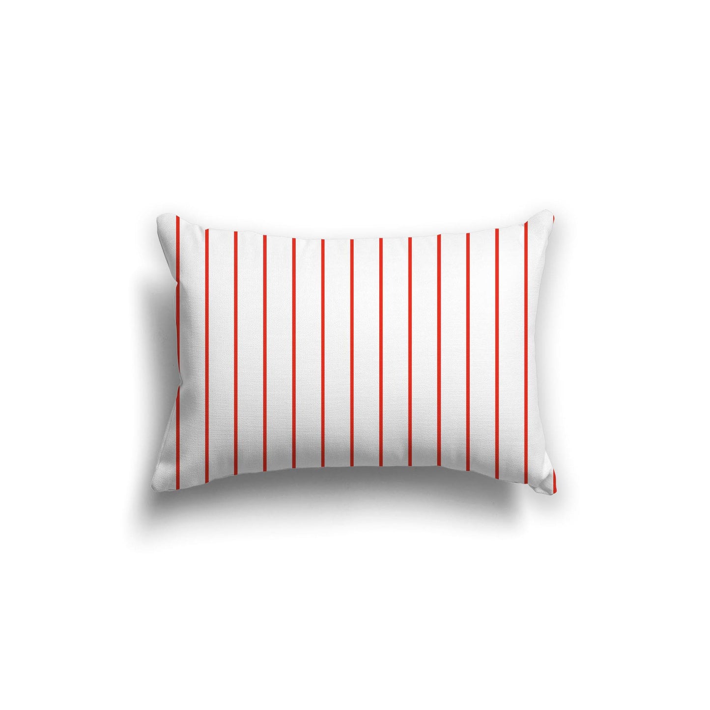 Off-White Cotton Canvas Cushion Covers with Fine Red Stripes on Front, CACU-1410-151