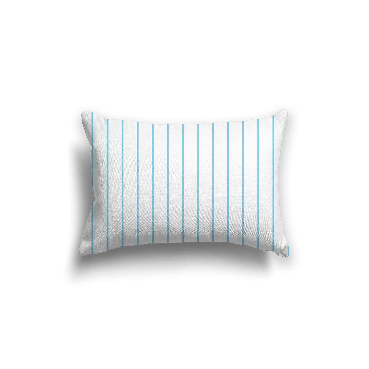 Off-White Cotton Canvas Cushion Covers with Fine Blue Stripes on Front, CACU-1430-151