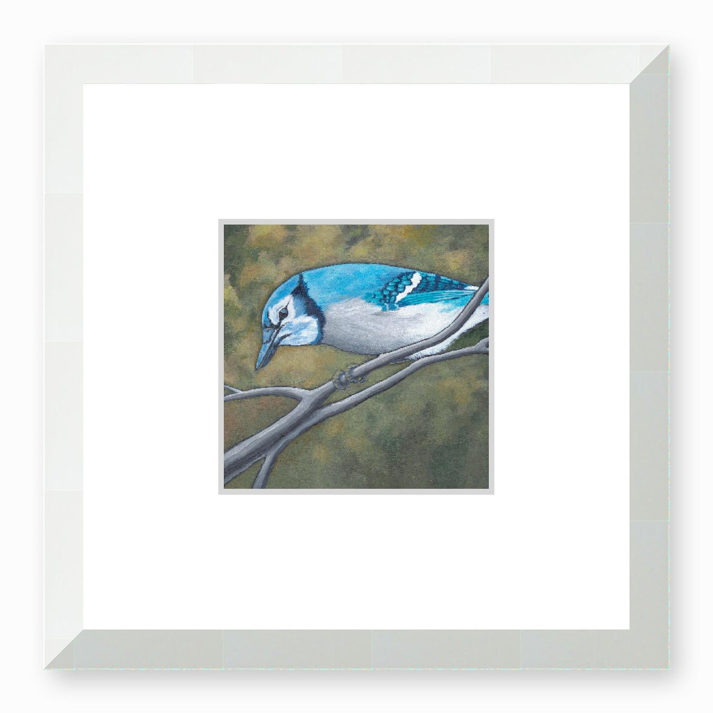 Framed Fine Art Print, Faux Mat - 12x12 inches | Blue Jay in Acrylic, FMS-1000-1148, Prints, Fine art, White Frame,12 x 12 inches