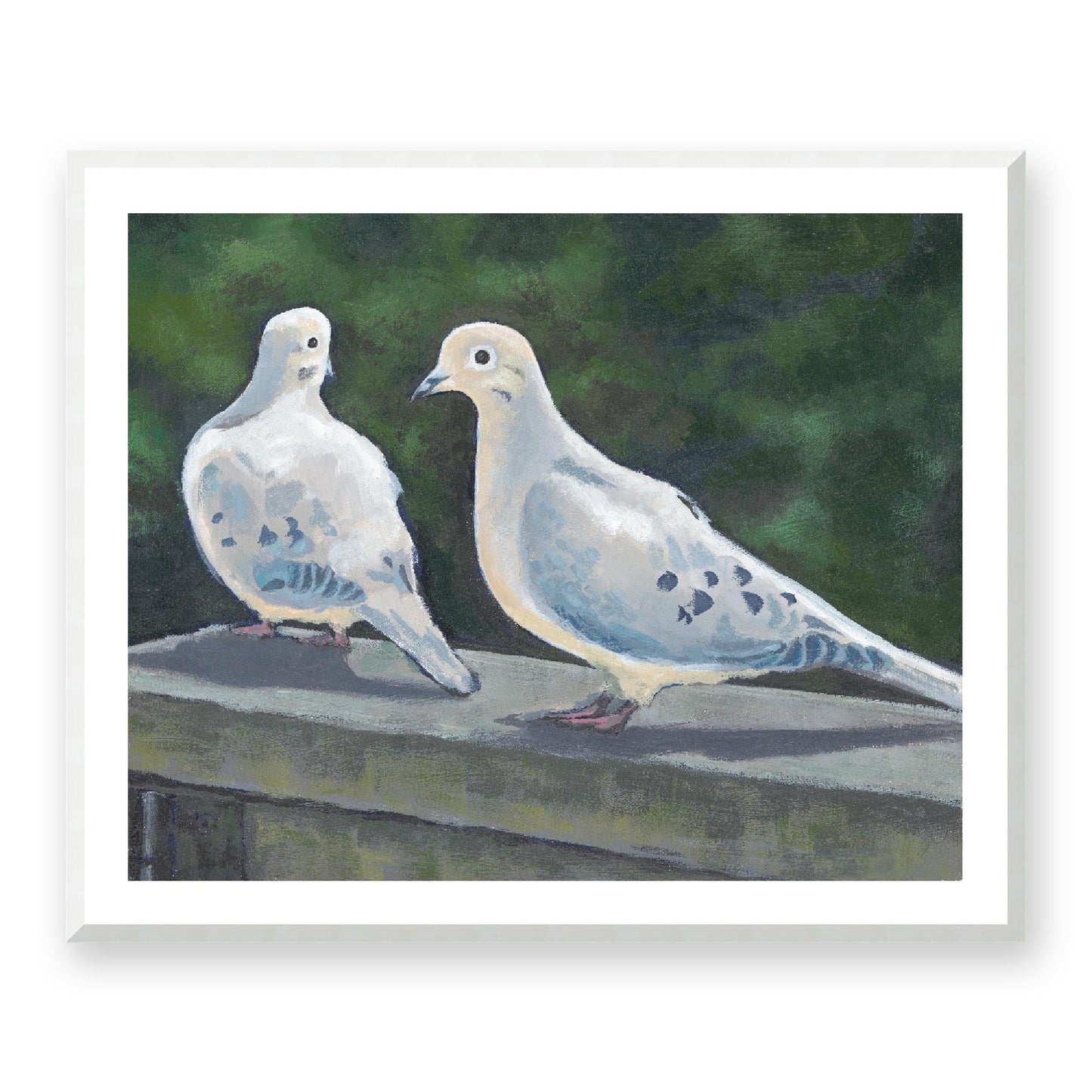 Framed Fine Art Print, White Mat - 14x12 19x16 24x20 29x24 34x28 39x32 inches | Mourning Doves in Acrylic, FPH-1000-1125, Prints, Fine art, White Frame, 99 x 81 cm, 39 x 32 inches