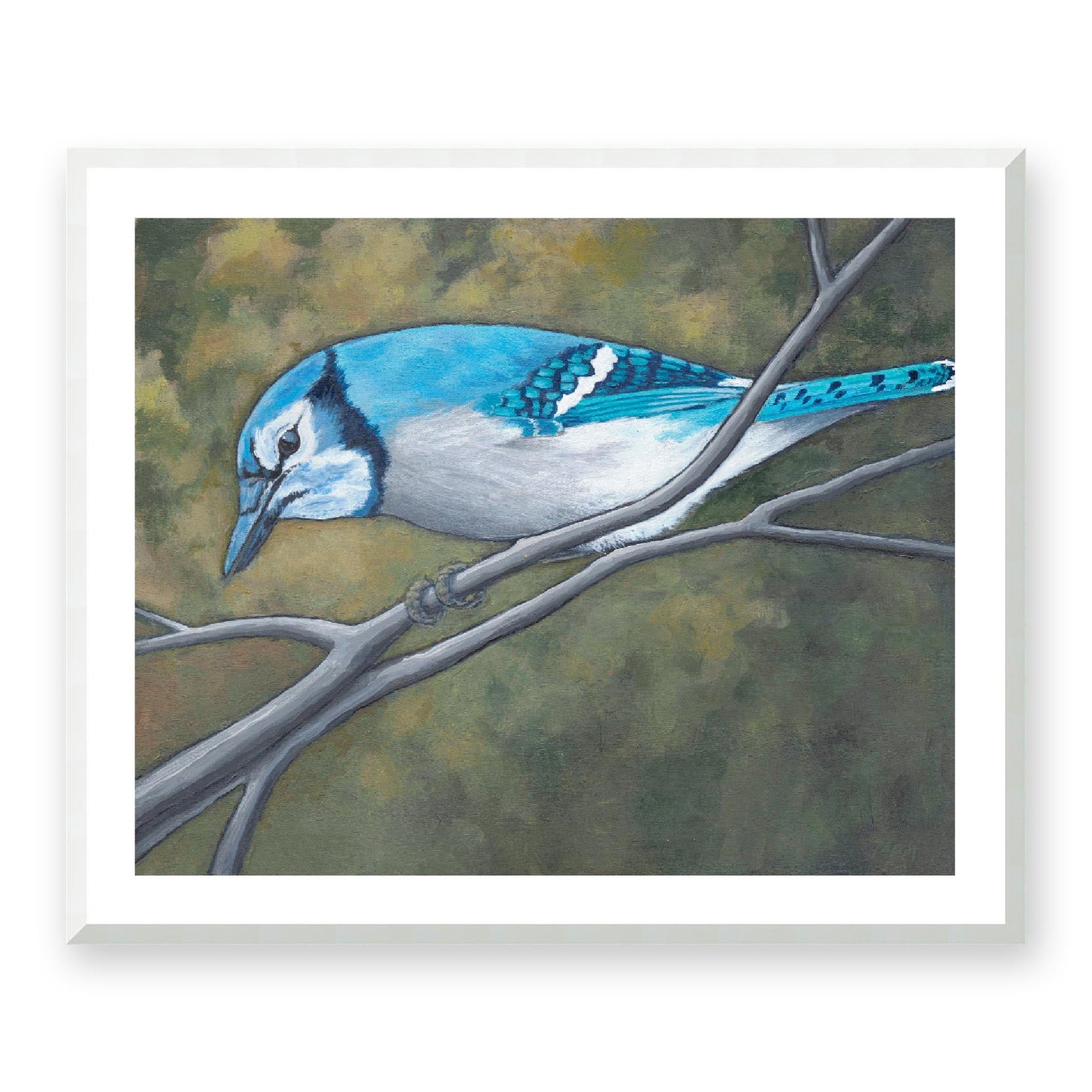 Framed Fine Art Print, White Mat - 14x12 19x16 24x20 29x24 34x28 inches | Blue Jay in Acrylic, FPH-1000-1148, Prints, Fine art, White Frame, 86 x 71 cm, 34 x 28 inches