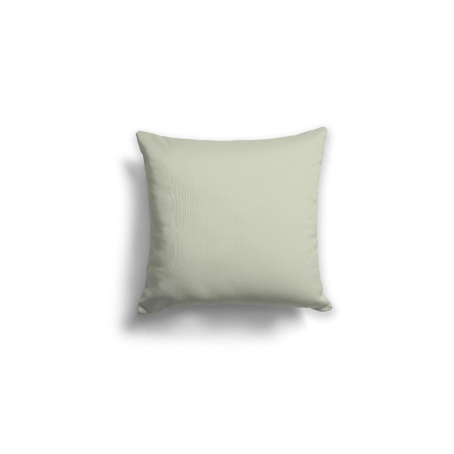Pale Green Spun Polyester Throw Pillow 16 x 16 inches / 41 x 41 cm