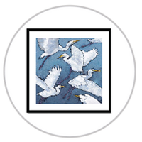 Animals & Birds Fine Art Prints