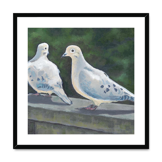Framed Fine Art Print, White Mat,Mourning Doves in Acrylic, FPS-1000-1125, 24"x24", Black Frame