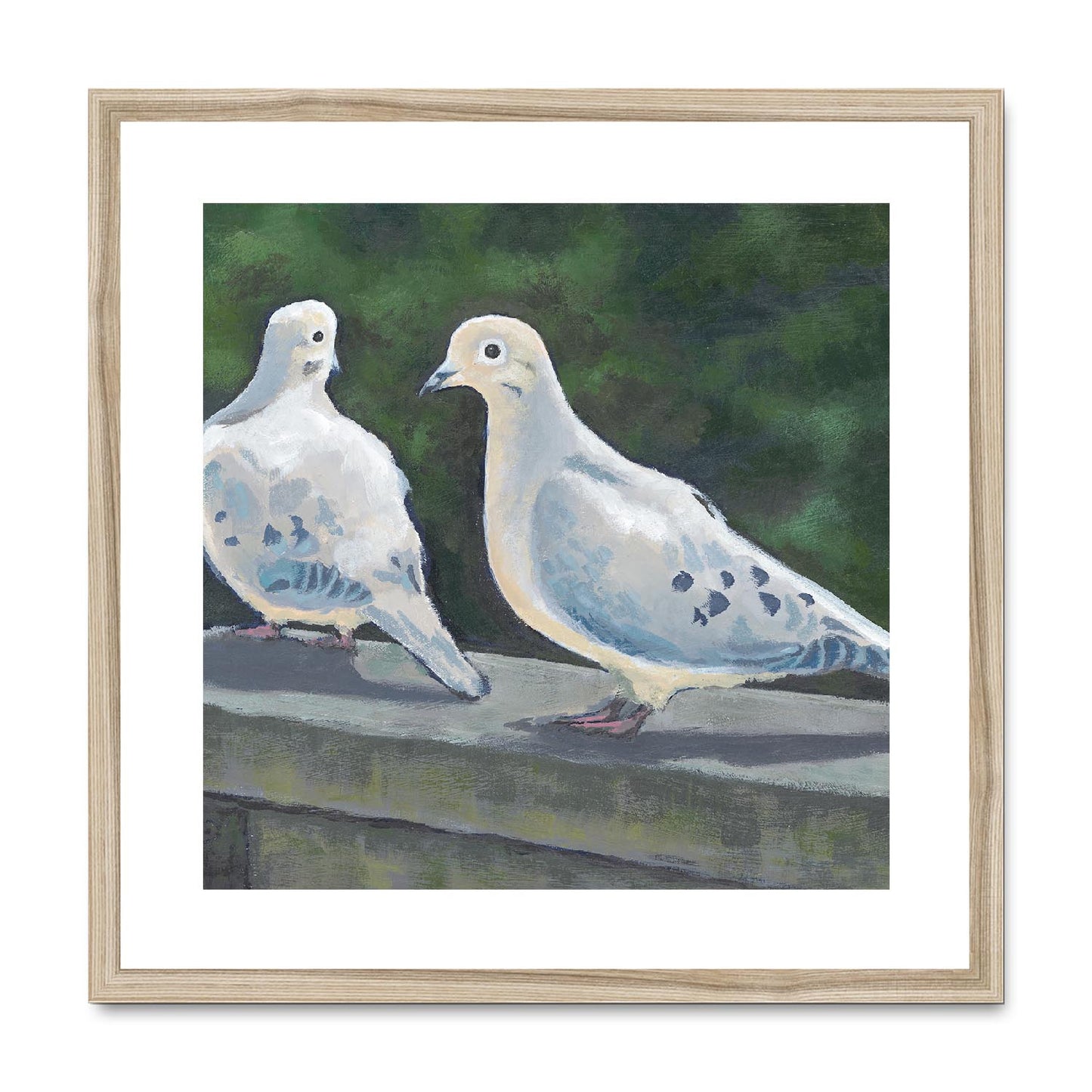 Framed Fine Art Print, White Mat,Mourning Doves in Acrylic, FPS-1000-1125, 20"x20", Natural Frame