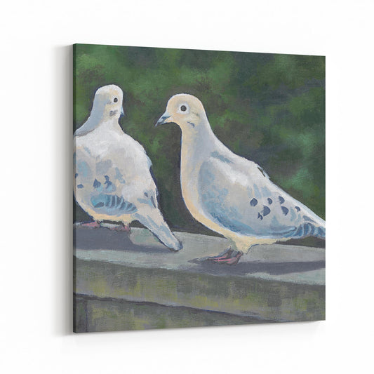 Slim Canvas Fine Art Print - Mourning Doves - 6x6 inches