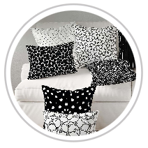 Black & White One #1011