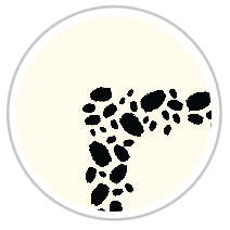 Black & Pale Cream #1013-091