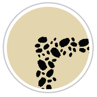 Black & Tan #1014-091