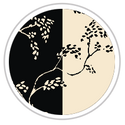 Black & Beige #1015-181