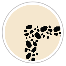 Black & Beige #1015-091