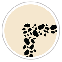 Black & Beige #1015-091