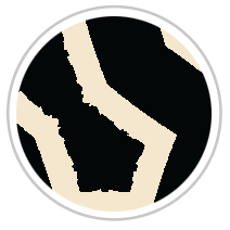 Black & Beige #1015-392