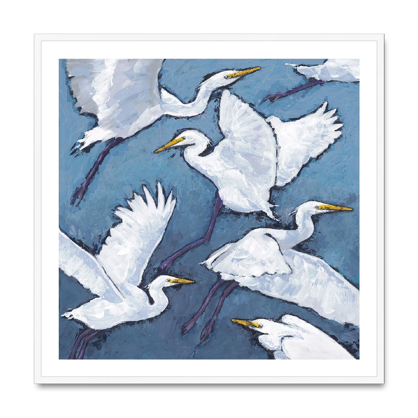 Framed Fine Art Print, White Mat,White Herons in Acrylic, FPS-1020-001, 36"x36", White Frame