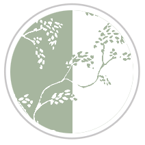 White Peonies Two #1052-181