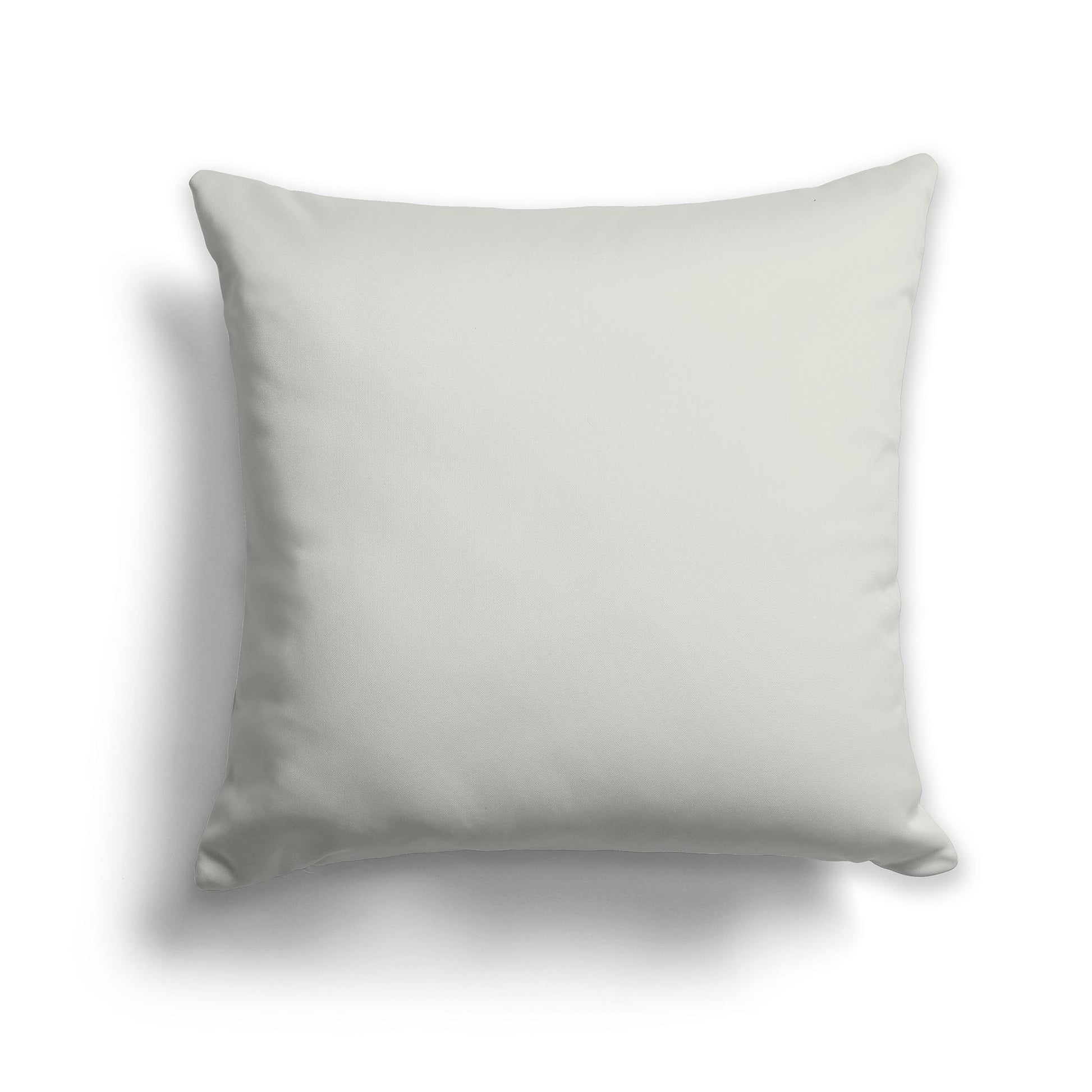 Square Throw Pillow in Solid Pale Green