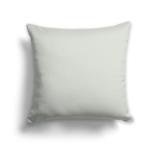 Square Throw Pillow in Solid Pale Green