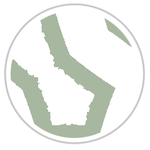 White Peonies Two #1052-391