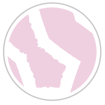 Pink Tulips #1081-392