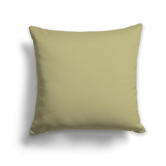 Square Throw Pillow in Solid Light Green