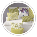 Lime Zest #1142