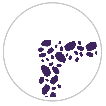 Elderberry Garden #1143-091