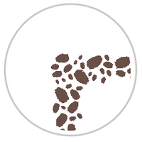 Mocha Froth #1161-091