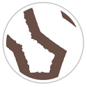 Mocha Froth #1161-391