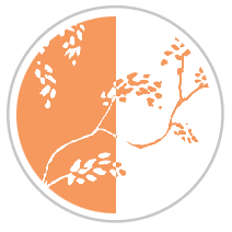 Blood Orange #1181-181